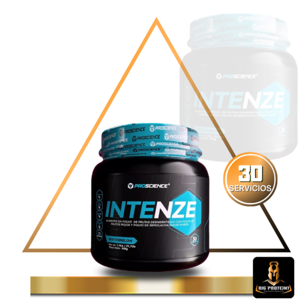 INTENZE 30 SERVICIOS