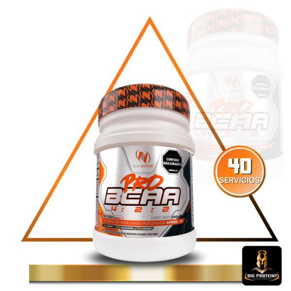 King Pro Bcaa 40 Servicios