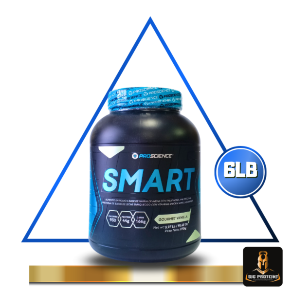 Smart Gainer 6 Lb