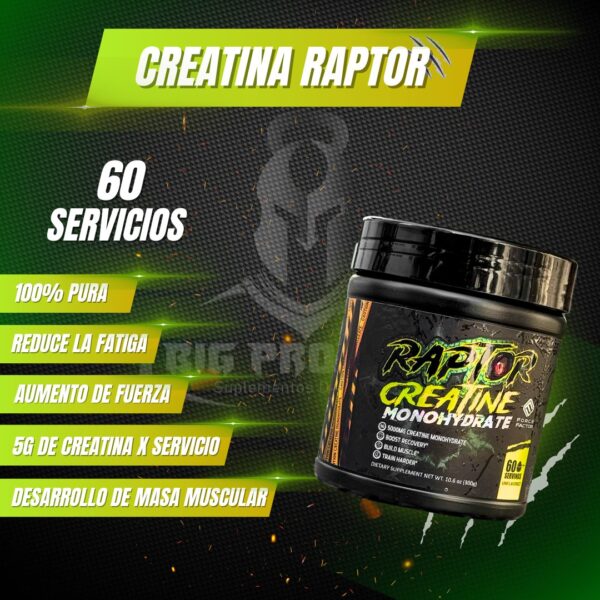 Creatine Raptor 60 Servicios - Imagen 4