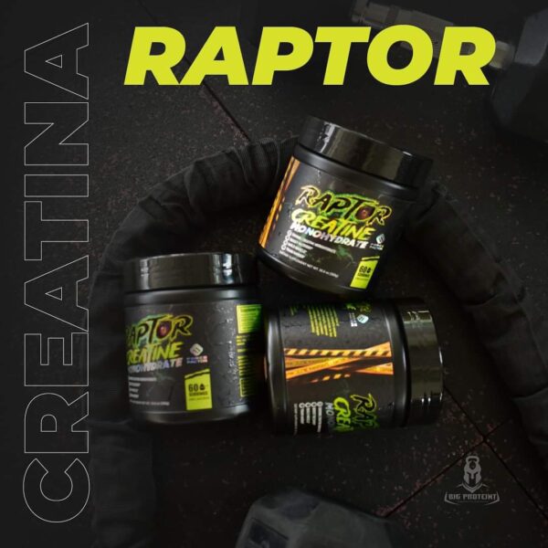 Creatine Raptor 60 Servicios - Imagen 3