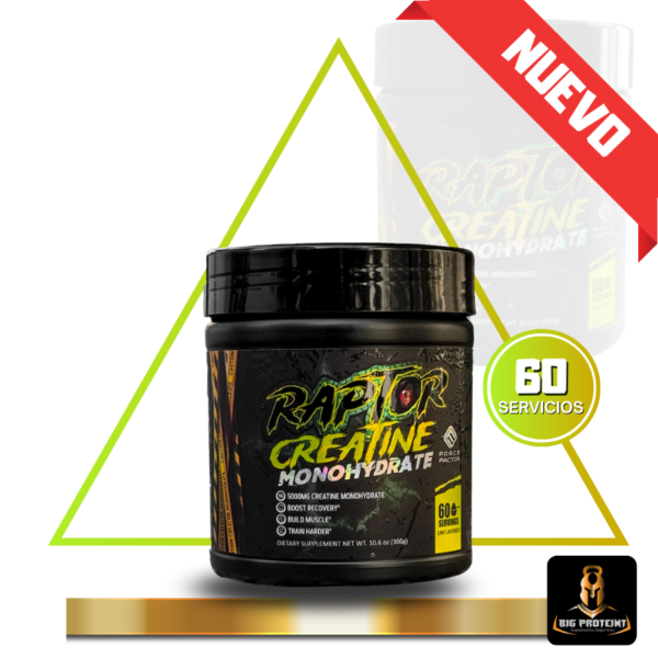 Creatine Raptor 60 Servicios