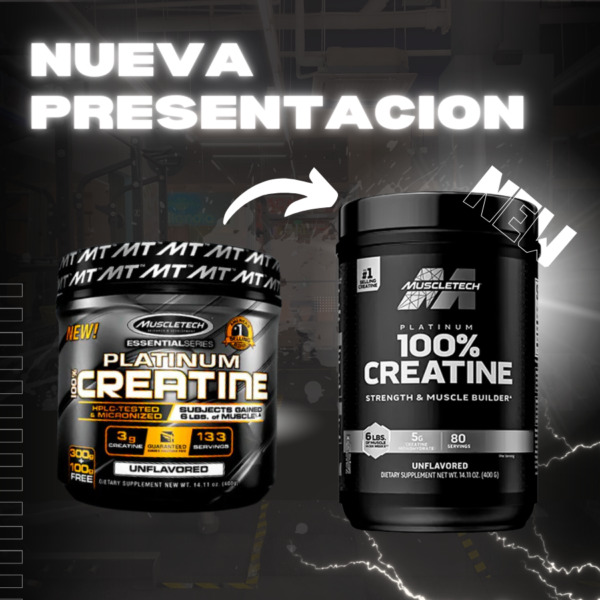 Creatina Platinum 80 Servicios - Imagen 3