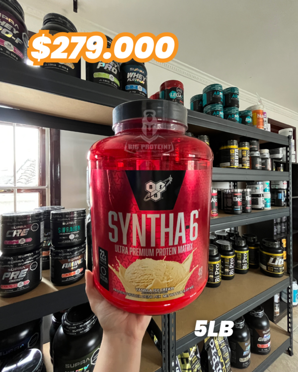 Syntha 6 -5Lb- - Imagen 2